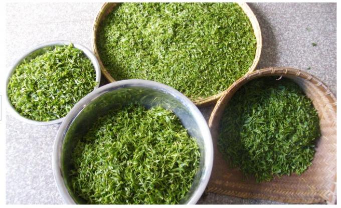 Βιολογικό Καβουρντισμένο πράσινο τσάι, 150 γρ. Φρυγμένο πράσινο τσάι για αδυνάτισμα, υγιεινό πράσινο τσάι αδυνατίσματος